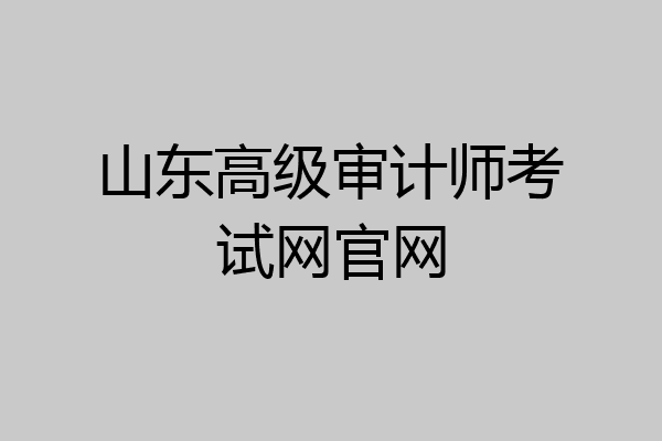 山东高级审计师考试网官网