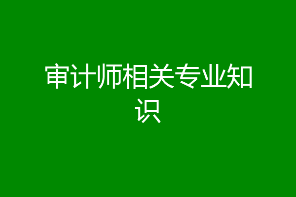 审计师相关专业知识