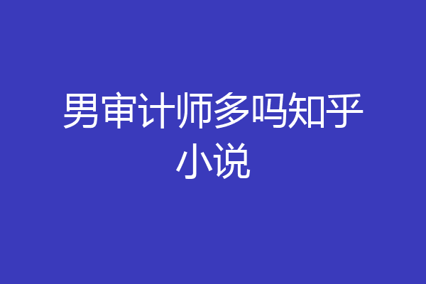 男审计师多吗知乎小说