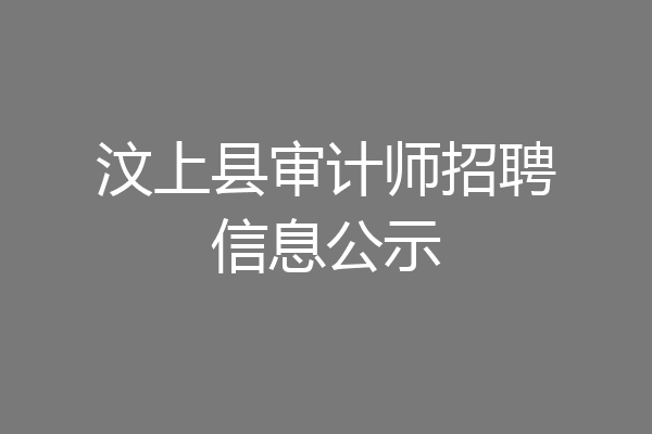 汶上县审计师招聘信息公示