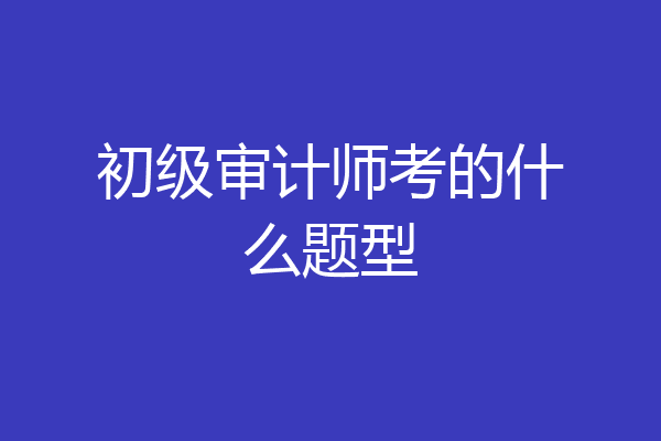 初级审计师考的什么题型