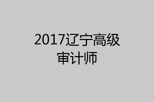 2017辽宁高级审计师