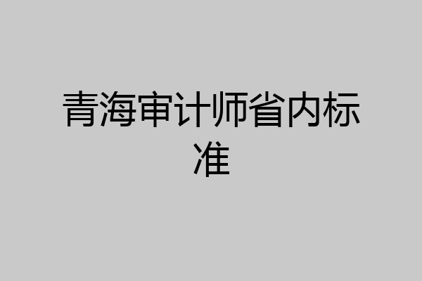 青海审计师省内标准