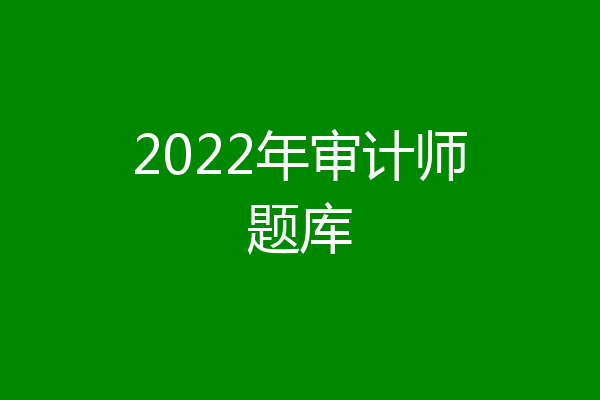 2022年审计师题库