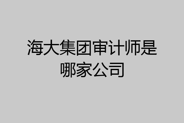 海大集团审计师是哪家公司
