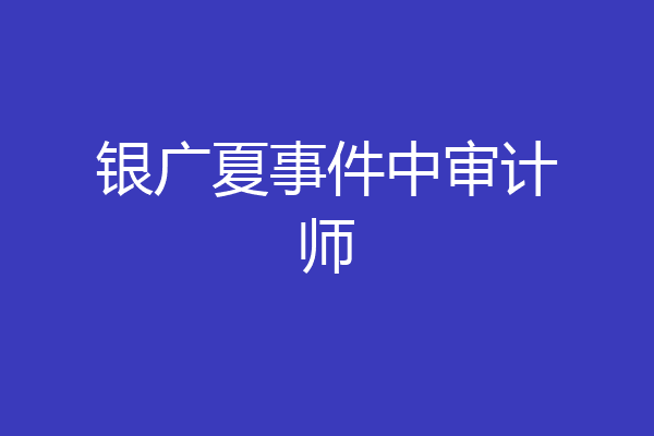 银广夏事件中审计师
