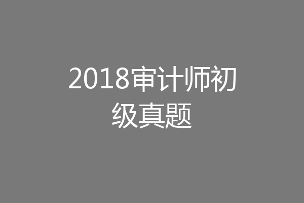 2018审计师初级真题