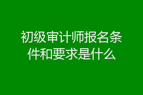 初级审计师报名条件和要求是什么