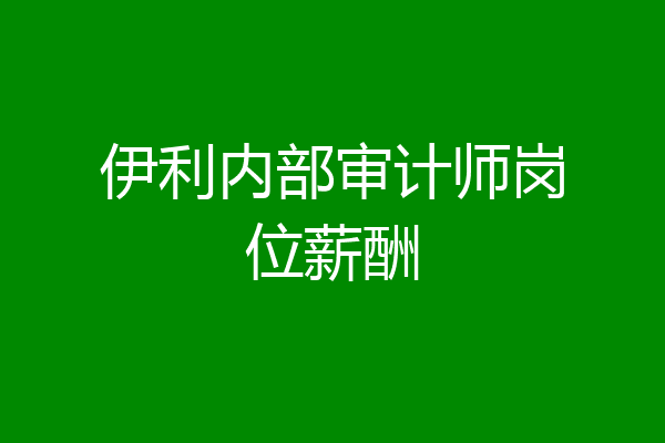 伊利内部审计师岗位薪酬