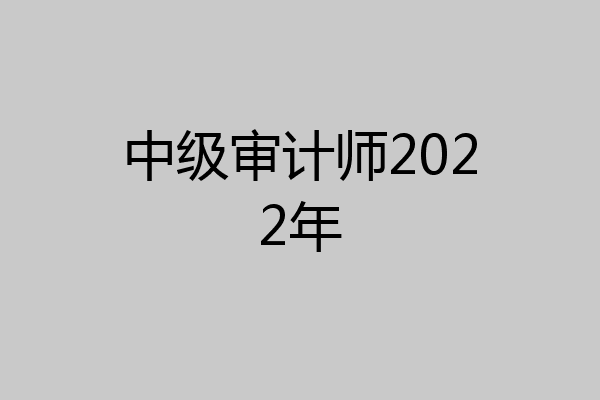 中级审计师2022年