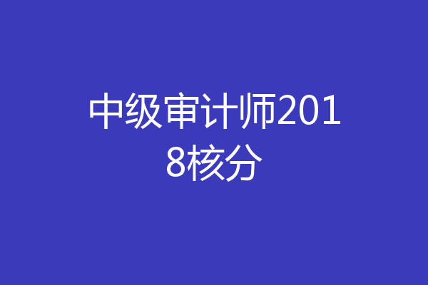 中级审计师2018核分