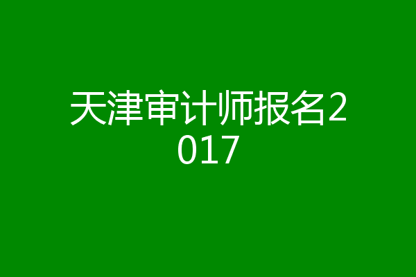 天津审计师报名2017