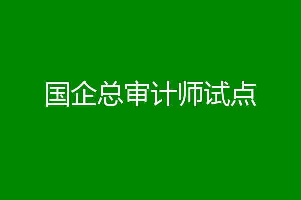 国企总审计师试点