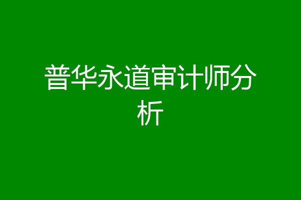 普华永道审计师分析