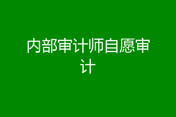 内部审计师自愿审计