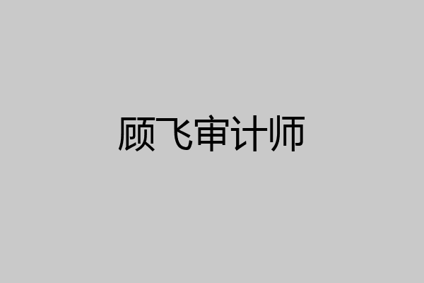 顾飞审计师