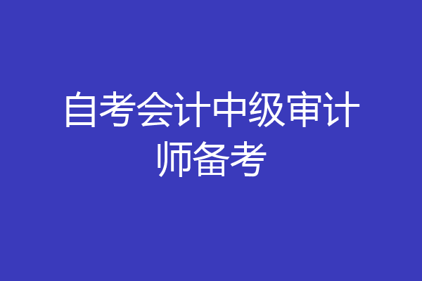 自考会计中级审计师备考