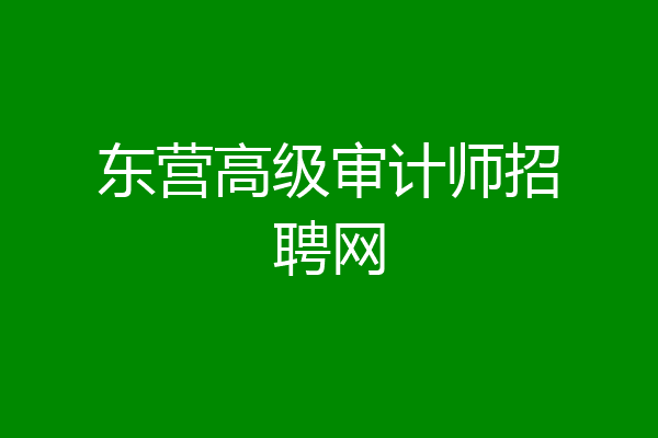 东营高级审计师招聘网