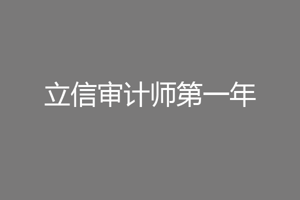 立信审计师第一年