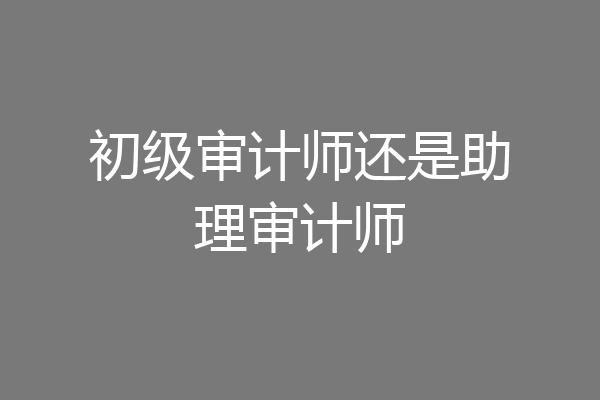初级审计师还是助理审计师