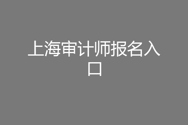 上海审计师报名入口