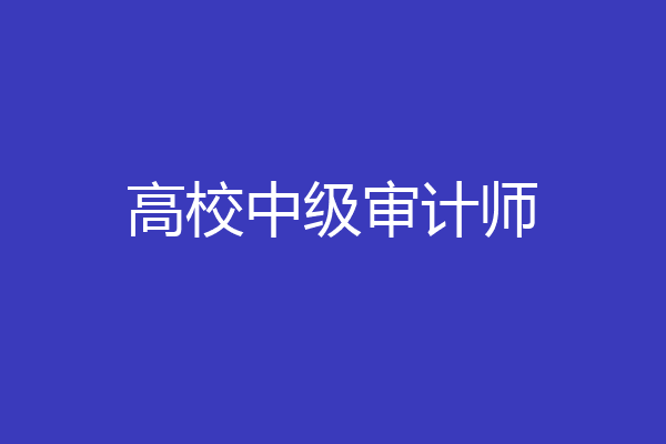 高校中级审计师