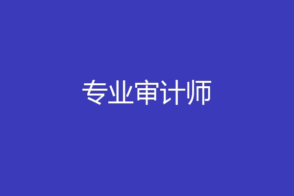 专业审计师