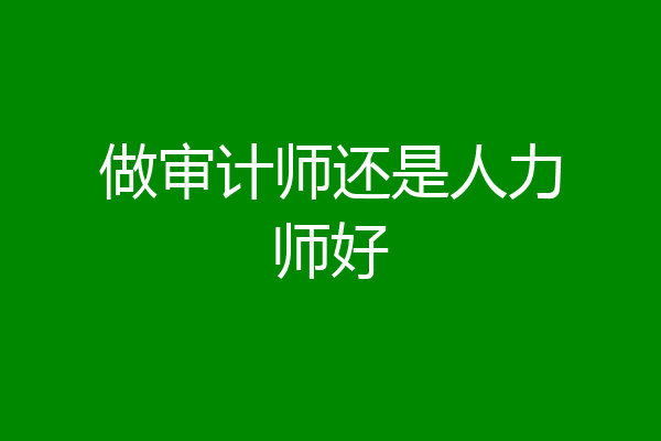 做审计师还是人力师好