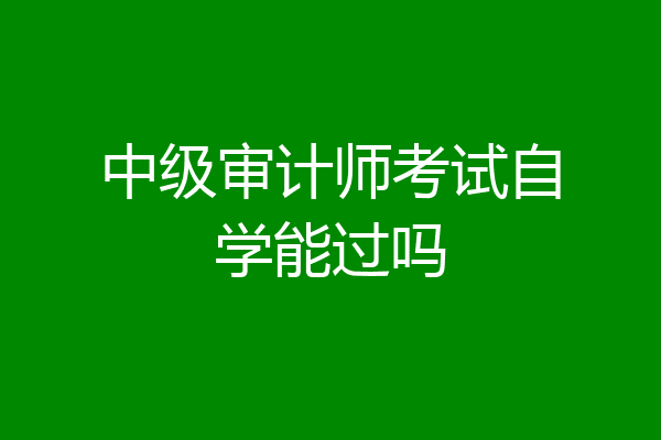 中级审计师考试自学能过吗