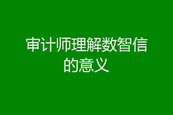 审计师理解数智信的意义