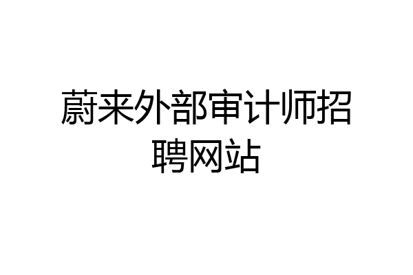 蔚来外部审计师招聘网站