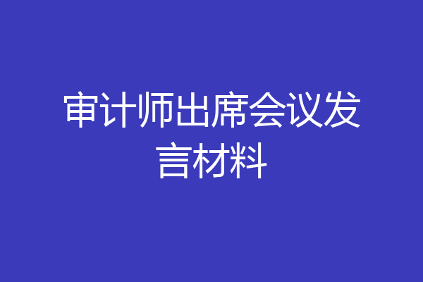 审计师出席会议发言材料
