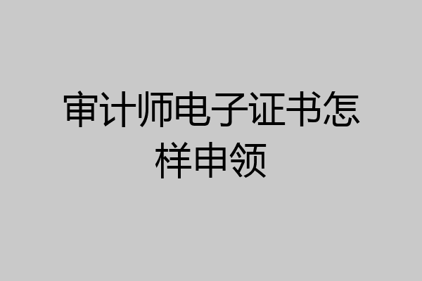 审计师电子证书怎样申领