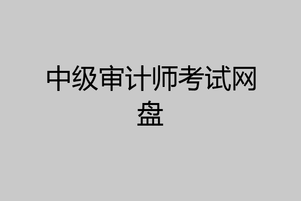 中级审计师考试网盘