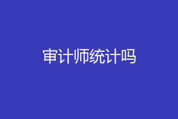 审计师统计吗