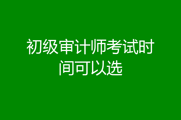 初级审计师考试时间可以选