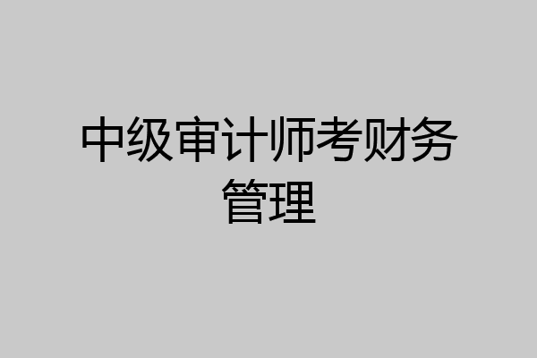 中级审计师考财务管理