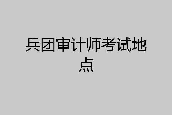 兵团审计师考试地点