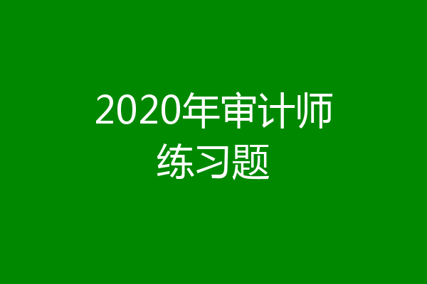 2020年审计师练习题