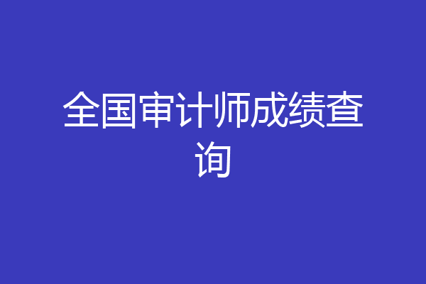 全国审计师成绩查询