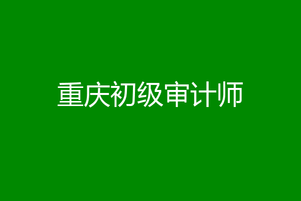 重庆初级审计师
