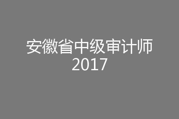 安徽省中级审计师2017