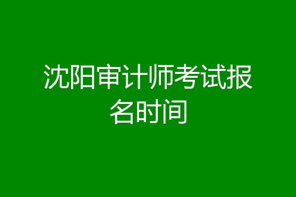 沈阳审计师考试报名时间