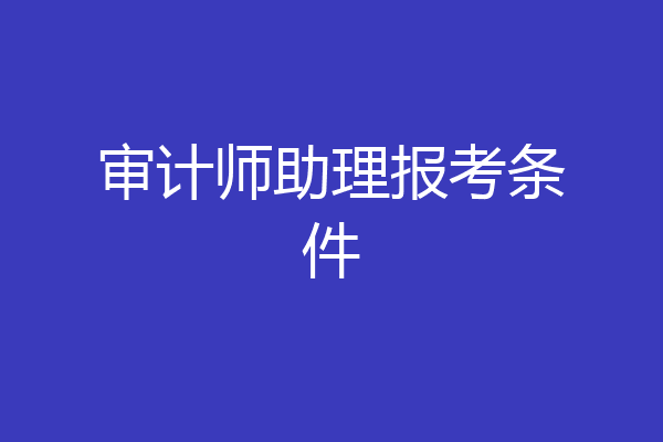 审计师助理报考条件