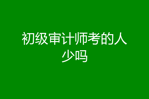 初级审计师考的人少吗