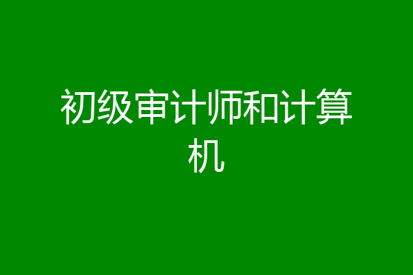 初级审计师和计算机