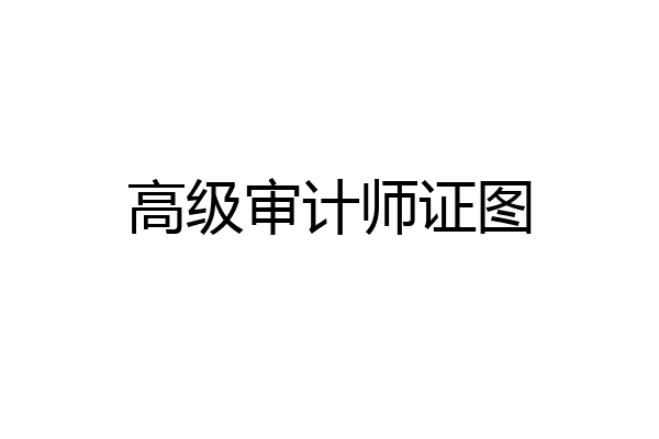 高级审计师证图