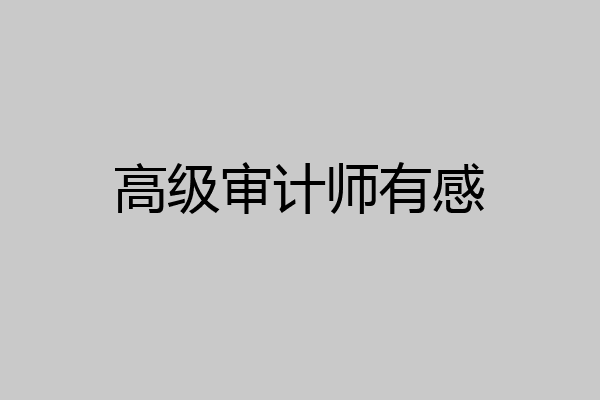 高级审计师有感