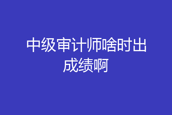 中级审计师啥时出成绩啊