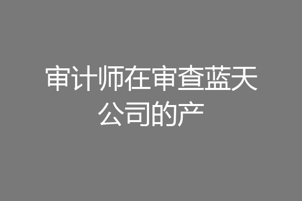 审计师在审查蓝天公司的产